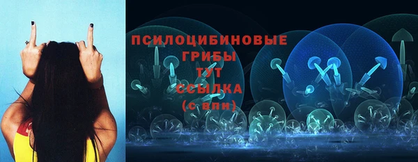 МДПВ Аркадак