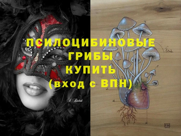 МДПВ Аркадак